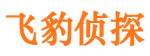 龙岩捉小三公司